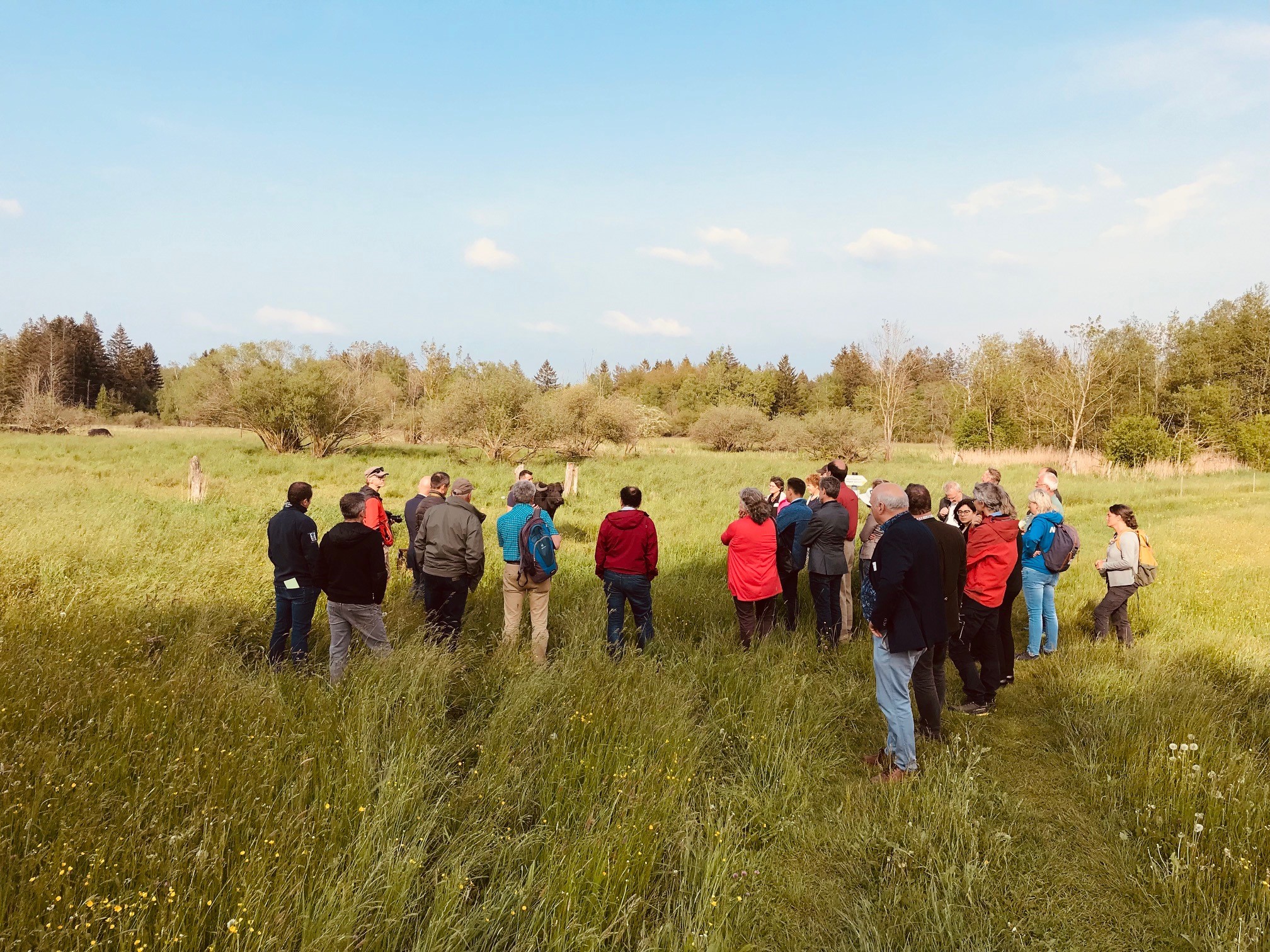 Exkursionsgruppe im Wurzacher Ried