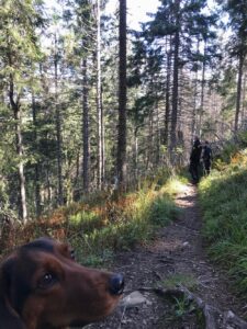 Führung mit einem Förster im Biosphärengebiet Schwarzwald
