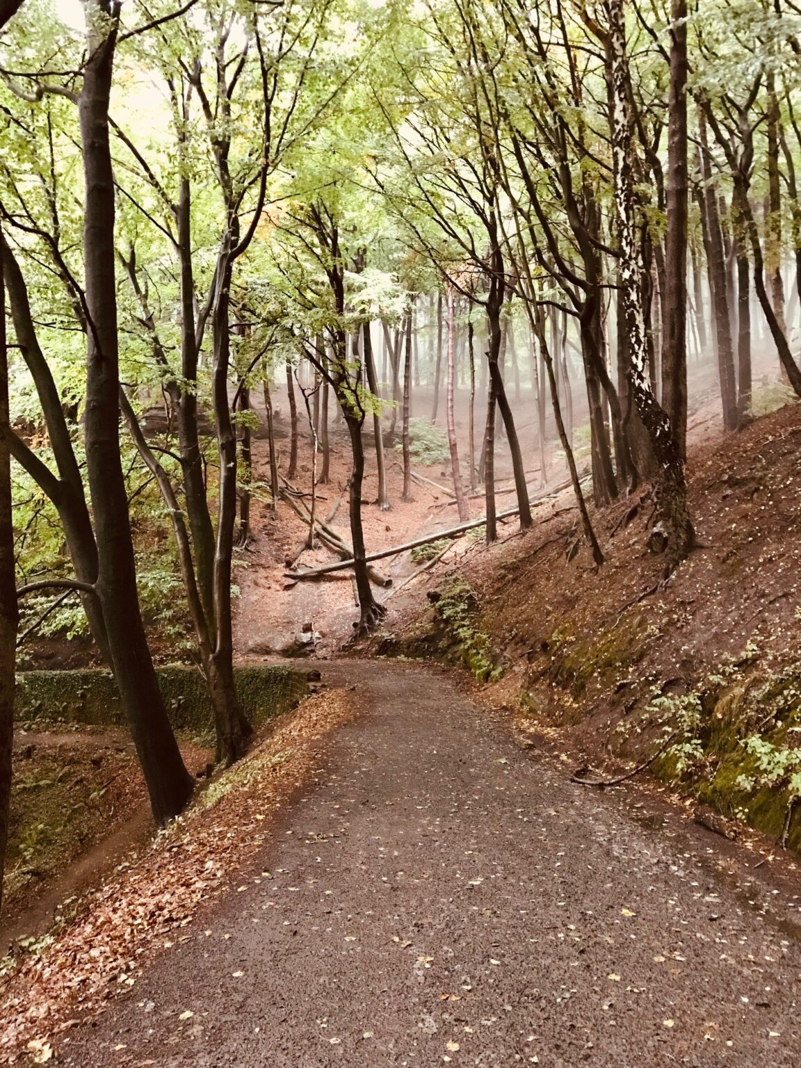 Kernzonenwanderung durch das Biosphärenreservat Bliesgau